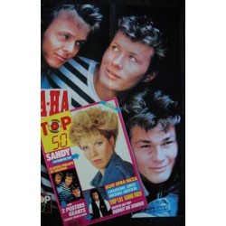 TOP 50 123  1988   SANDY CLAUDIA PHILLIPS + POSTERS A-HA TERENCE TRENT D'ARBY OFRA HAZA